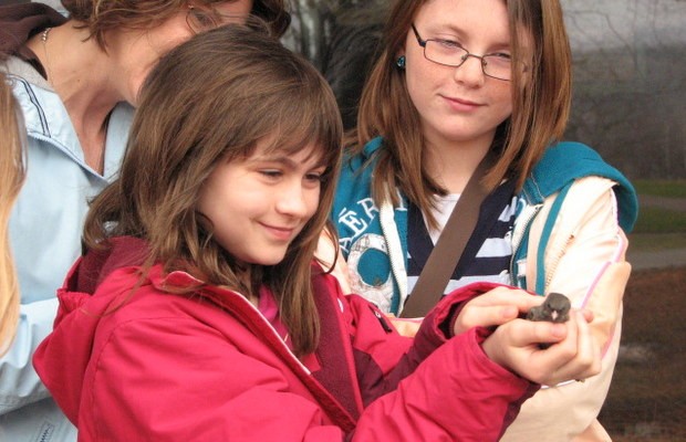 CNC_Jessie Haas_birdbanding at Carpenter Nature Center_releasing a dark-eyed Junco